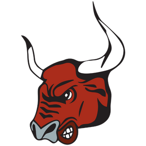 Vogie Test High School Logo